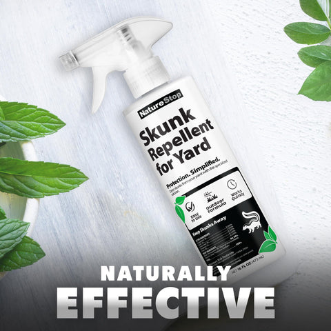 NatureStop bottle used on garden bed borders for ongoing deterrence against skunks.
