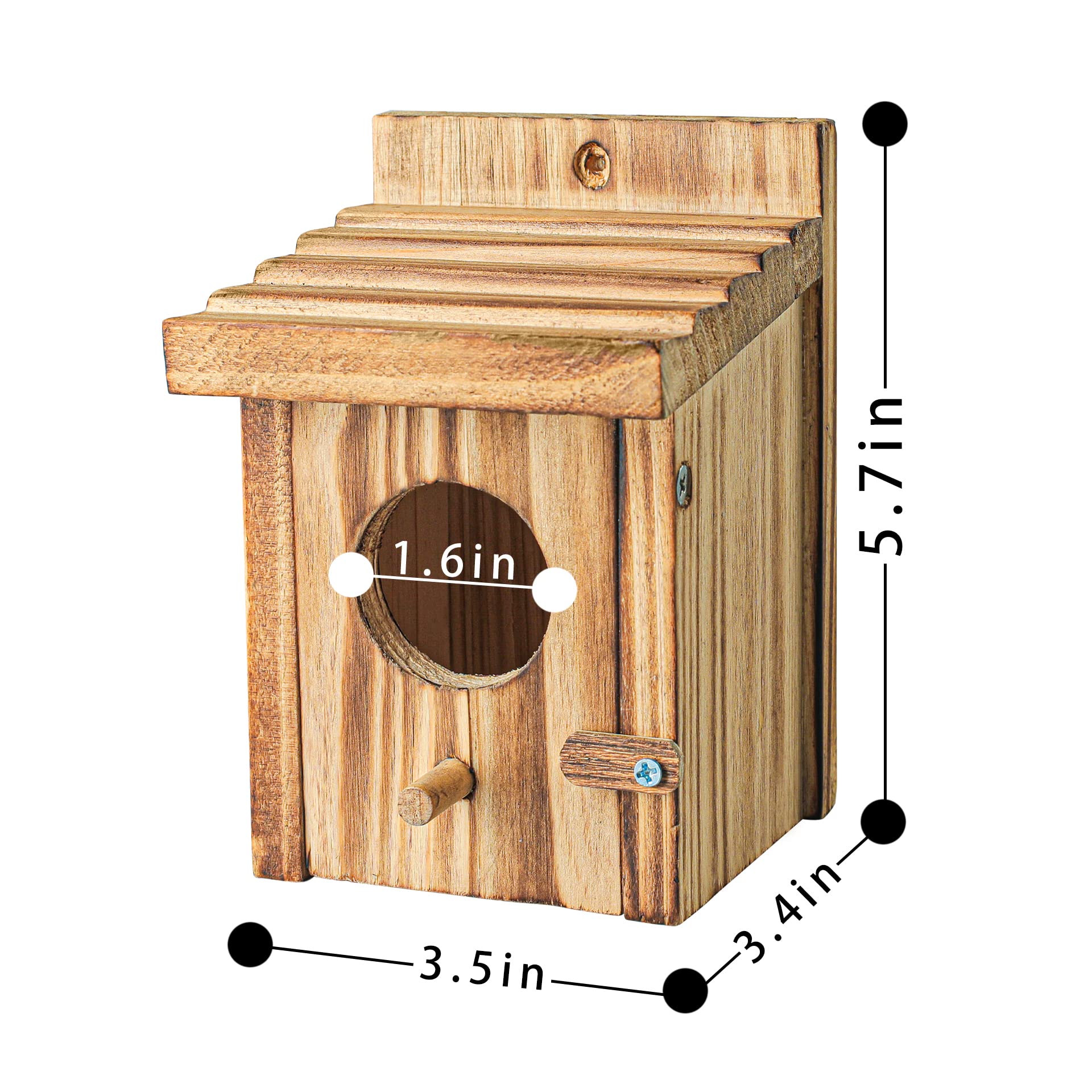 Natureylwl bird house entrance with perch for resting