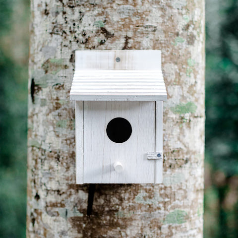 NATUREYLWL compact garden birdhouse shown with versatile placement options.