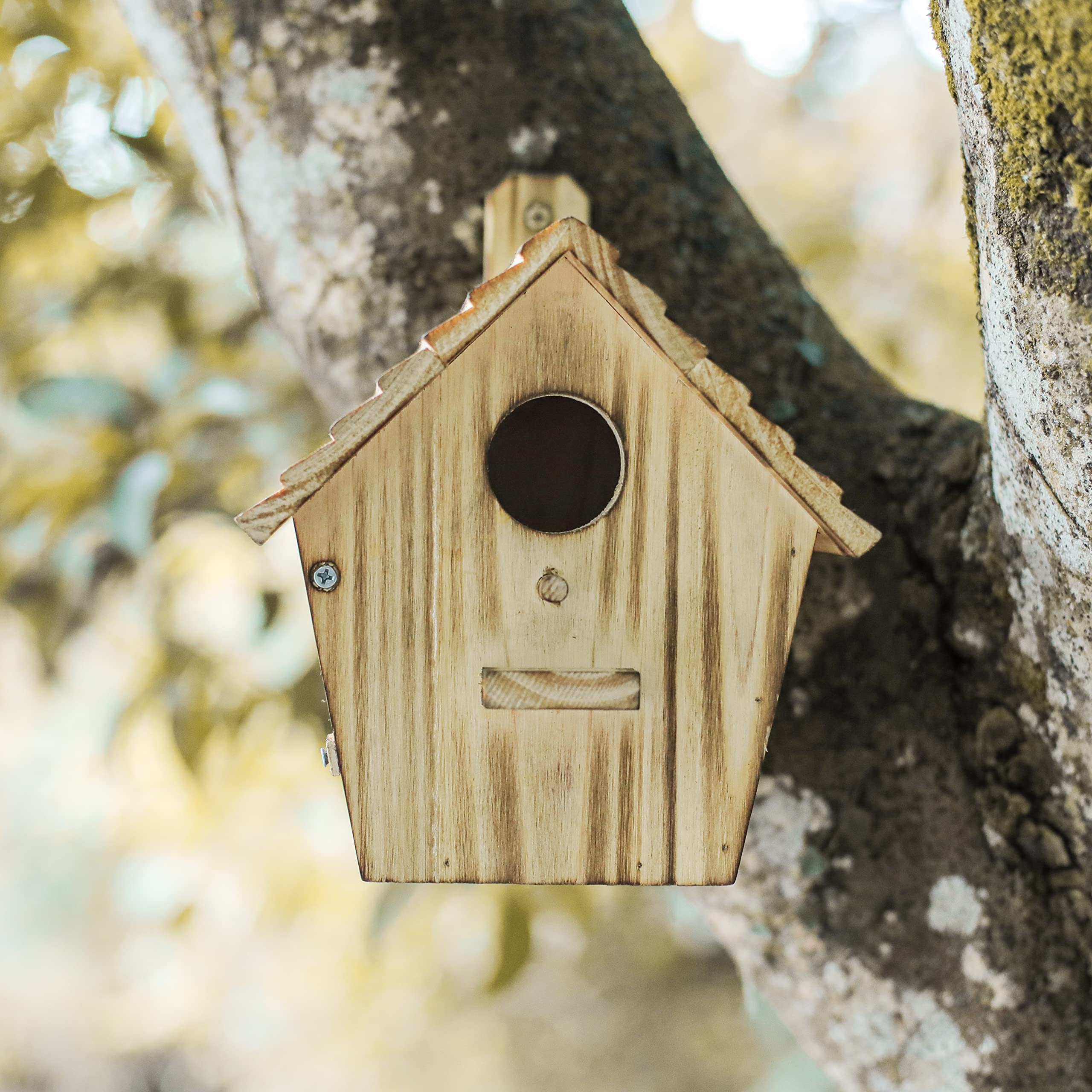 NATUREYLWL entrance hole 1-1/2 inch suits bluebirds, wrens, and chickadees.