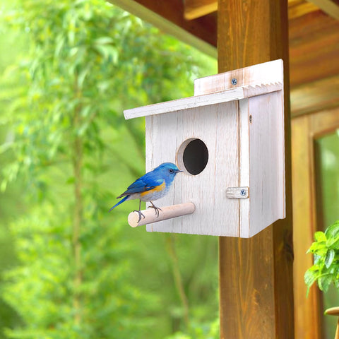 NATUREYLWL entry-hole small birdhouse highlighting petite opening attracts birds.