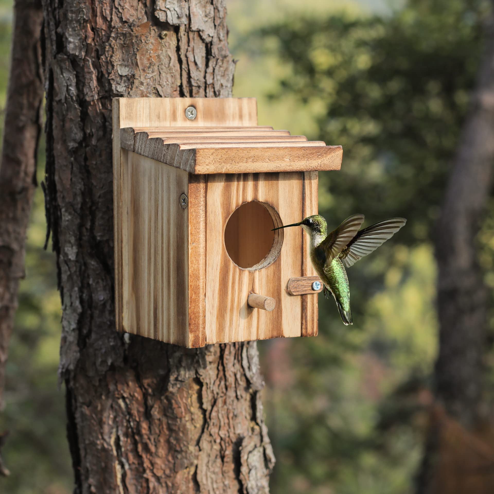 Natureylwl hanging bird house entrance hole with perch for feeding