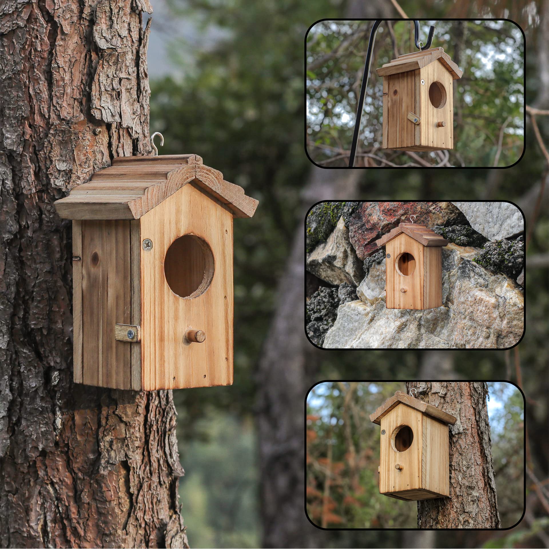 Natureylwl hummingbird entrance with perch supports feeding and chick protection.