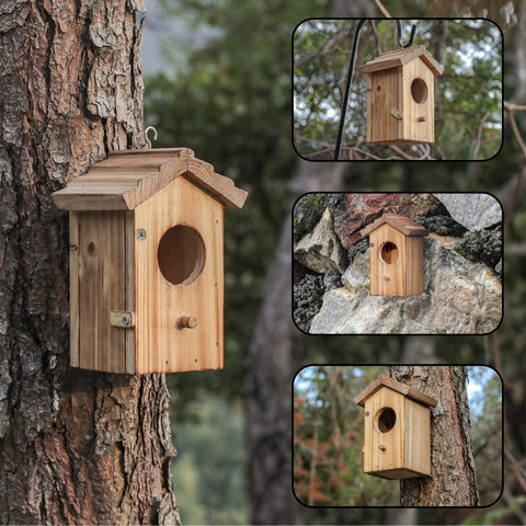 Natureylwl hummingbird entrance with perch supports feeding and chick protection.