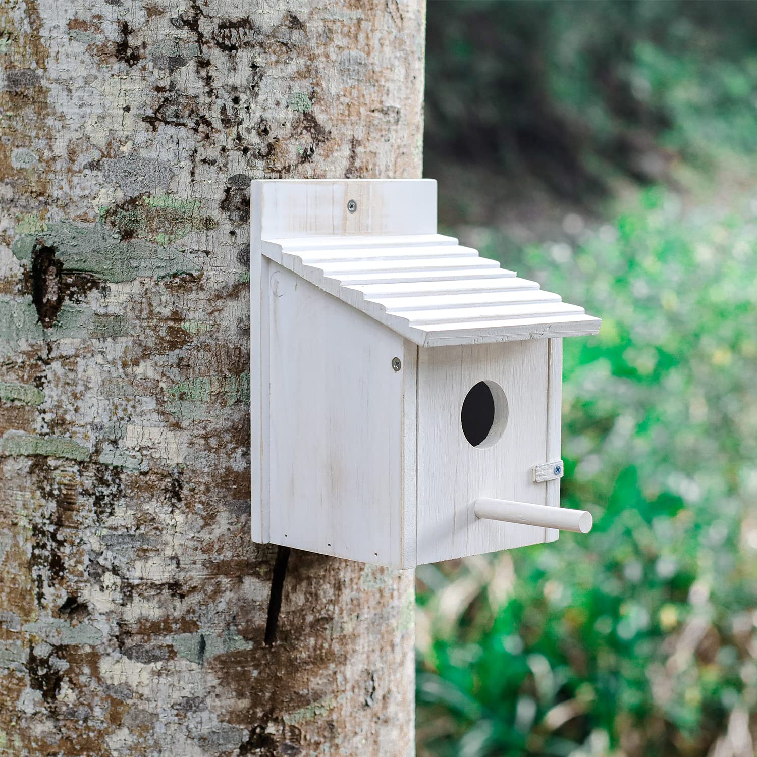 NATUREYLWL nature-loving gift idea for birdwatchers and gardeners.