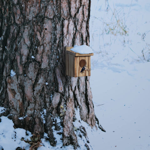 Natureylwl outdoor birdhouse adds rustic charm to a garden