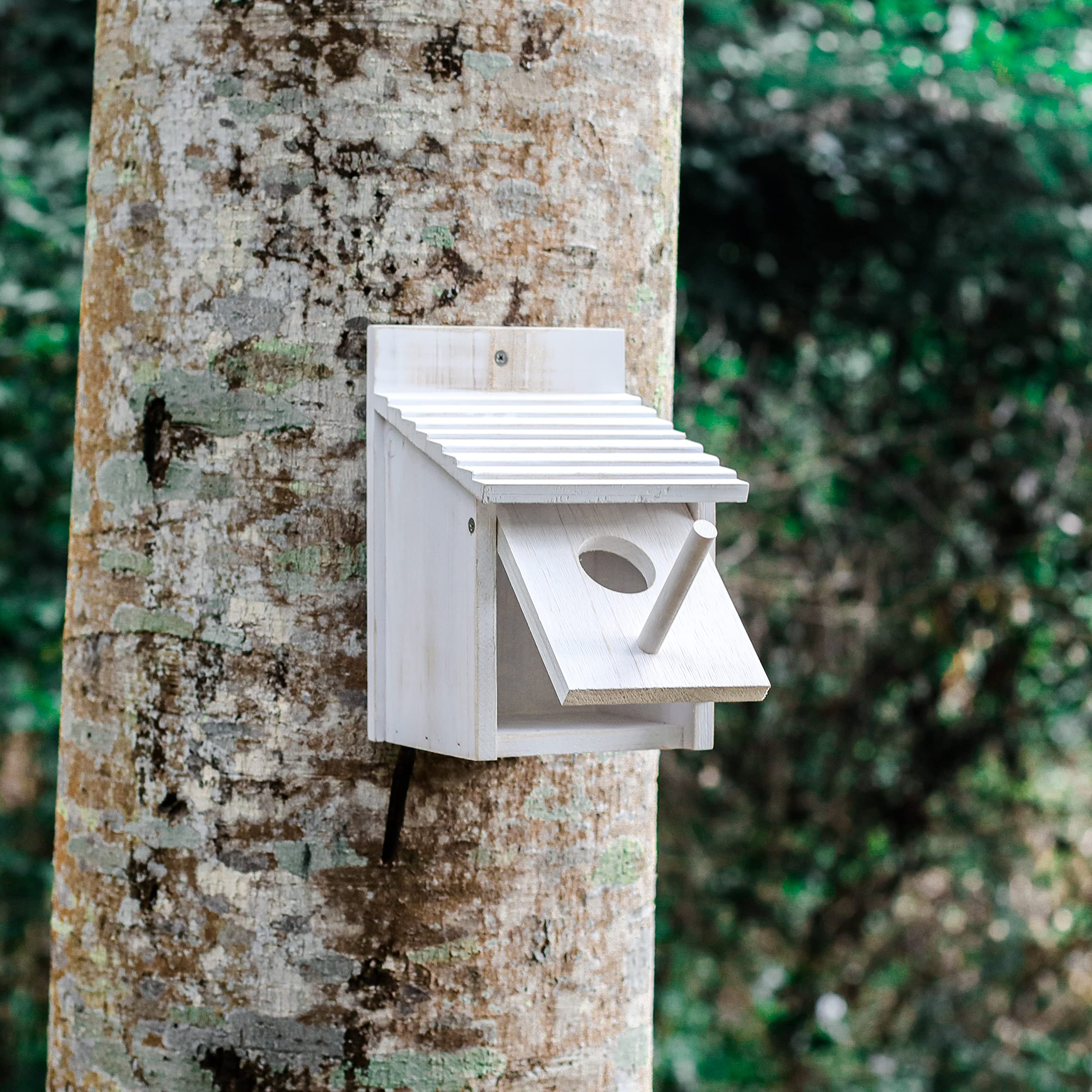 NATUREYLWL solid wood white finish birdhouse blended with natural yard decor.