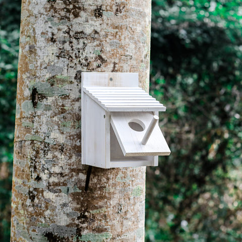 NATUREYLWL solid wood white finish birdhouse blended with natural yard decor.