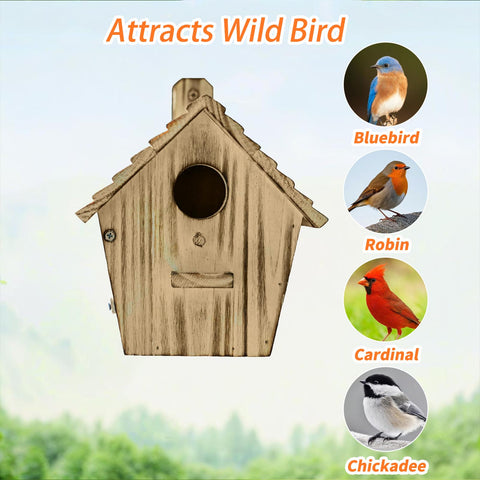 NATUREYLWL wooden bird house featuring a bluebird entry hole to attract small songbirds.