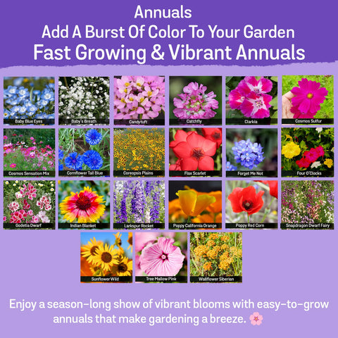 NatureZ Edge annual-perennial blend provides ongoing color across seasons