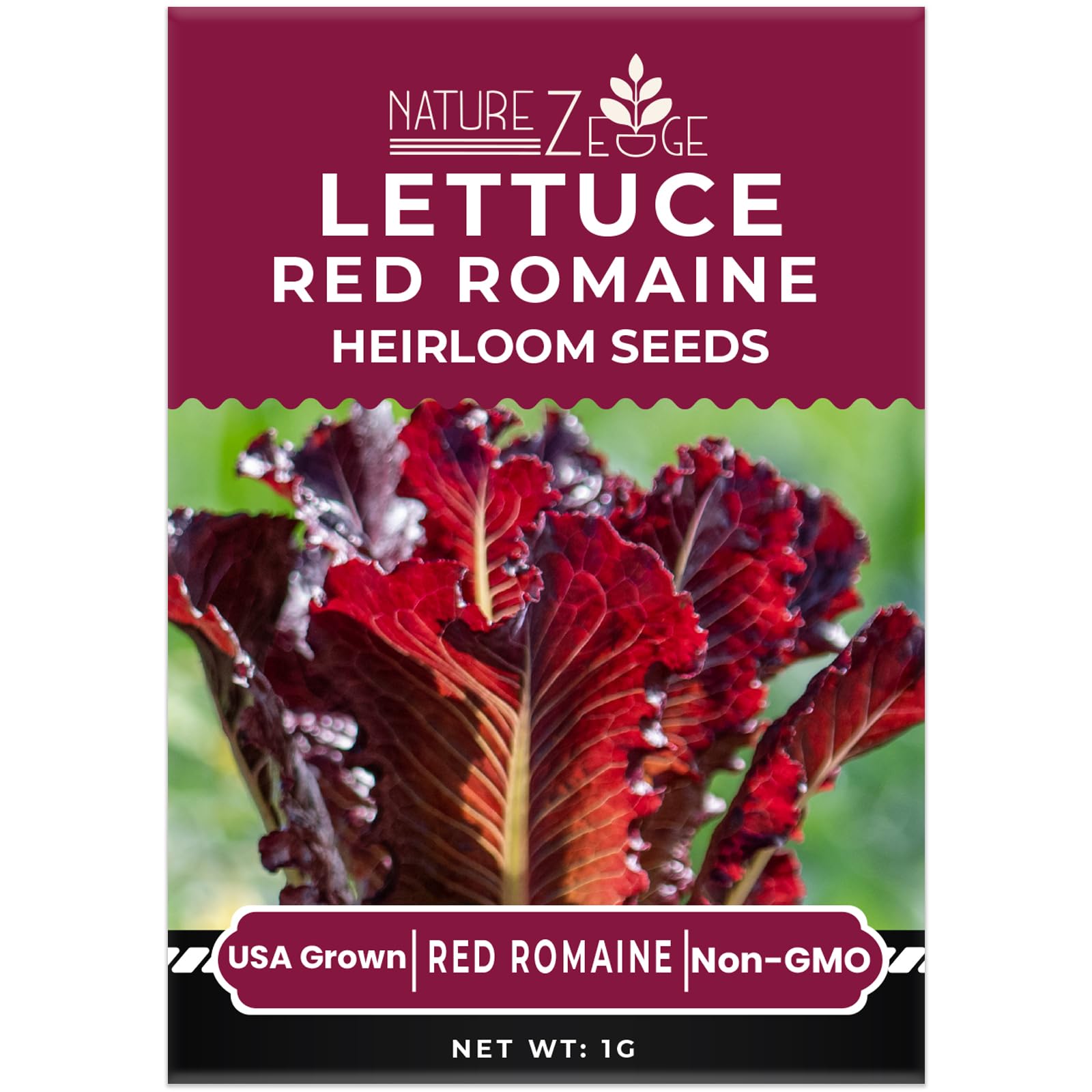 NatureZ Edge Black Seeded Simpson lettuce seeds for colorful, compact harvests.