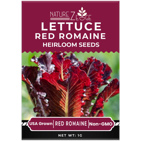 NatureZ Edge Black Seeded Simpson lettuce seeds for colorful, compact harvests.
