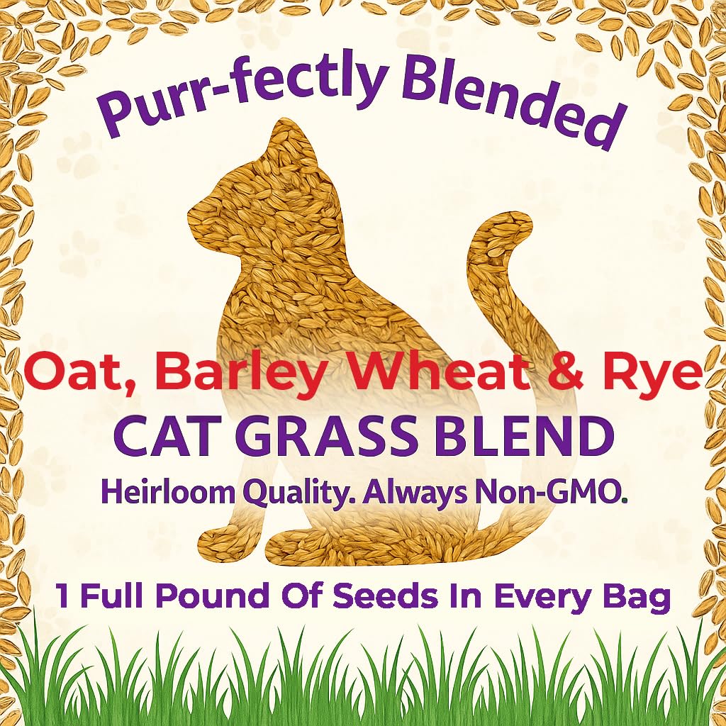 NatureZ Edge cat grass seeds lush cat grass ready for indoor nibbling