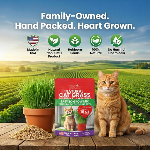 NatureZ Edge cat grass seeds made in USA logo on packaging
