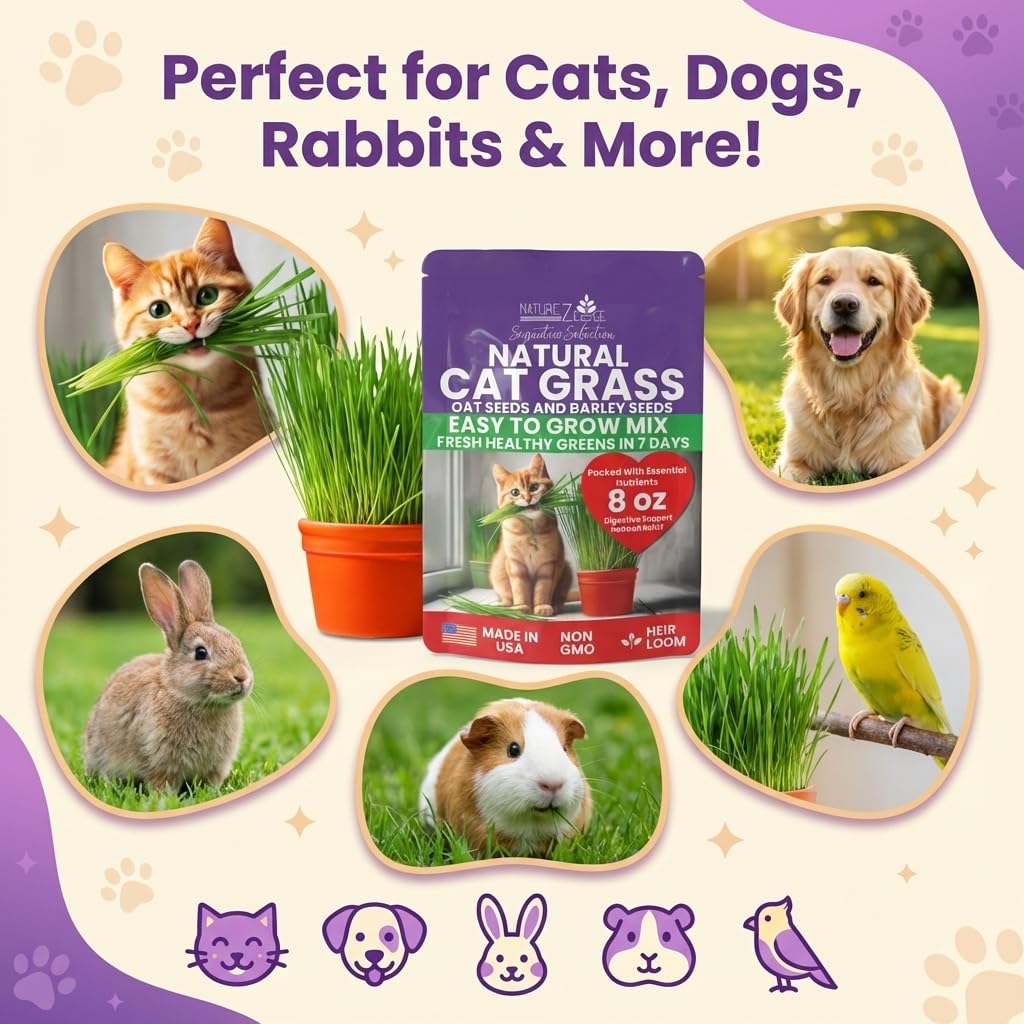 NatureZ Edge cat grass sprouts growing in a tray for indoor cats.