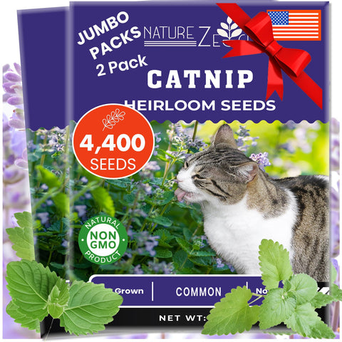 NatureZ Edge catnip seeds packaging for vibrant growth.