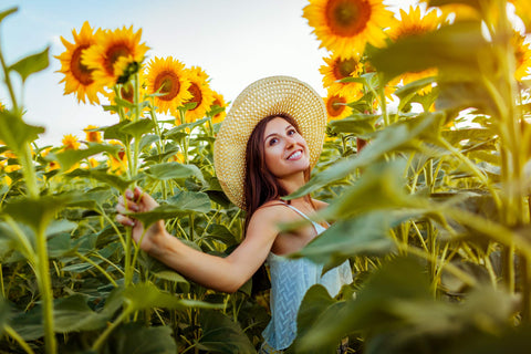NatureZ Edge diverse mix of sunflowers for season-long color