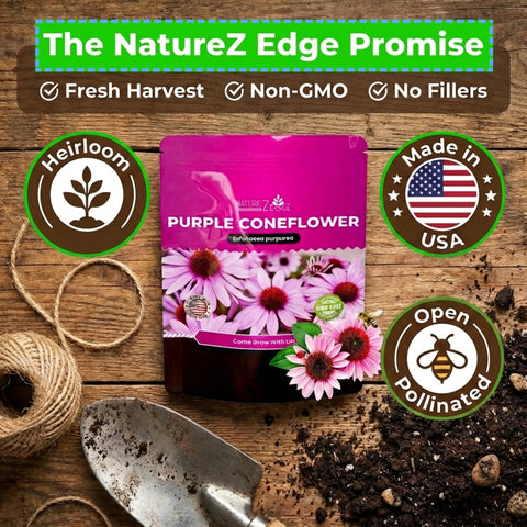 NatureZ Edge Echinacea seeds germination-rate close-up highlights healthy sprouting potential.