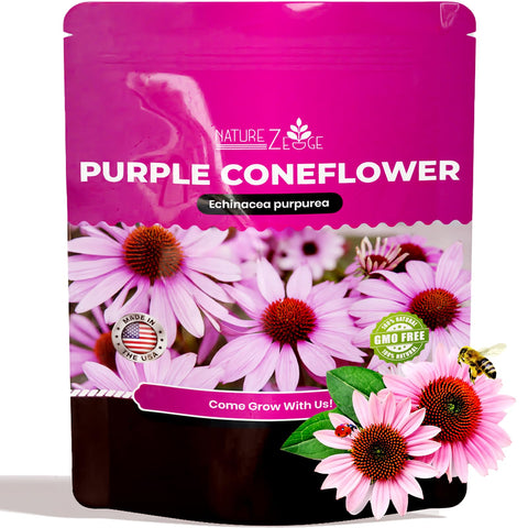 NatureZ Edge Echinacea seeds overview for a pollinator-friendly garden with abundant seed stock.