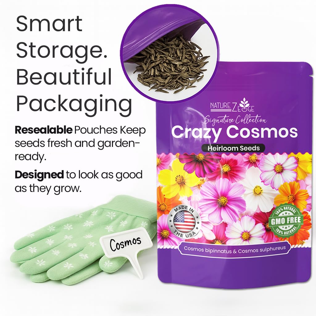 NatureZ Edge fast-growing seeds full sun, quick color boost for borders and meadows.