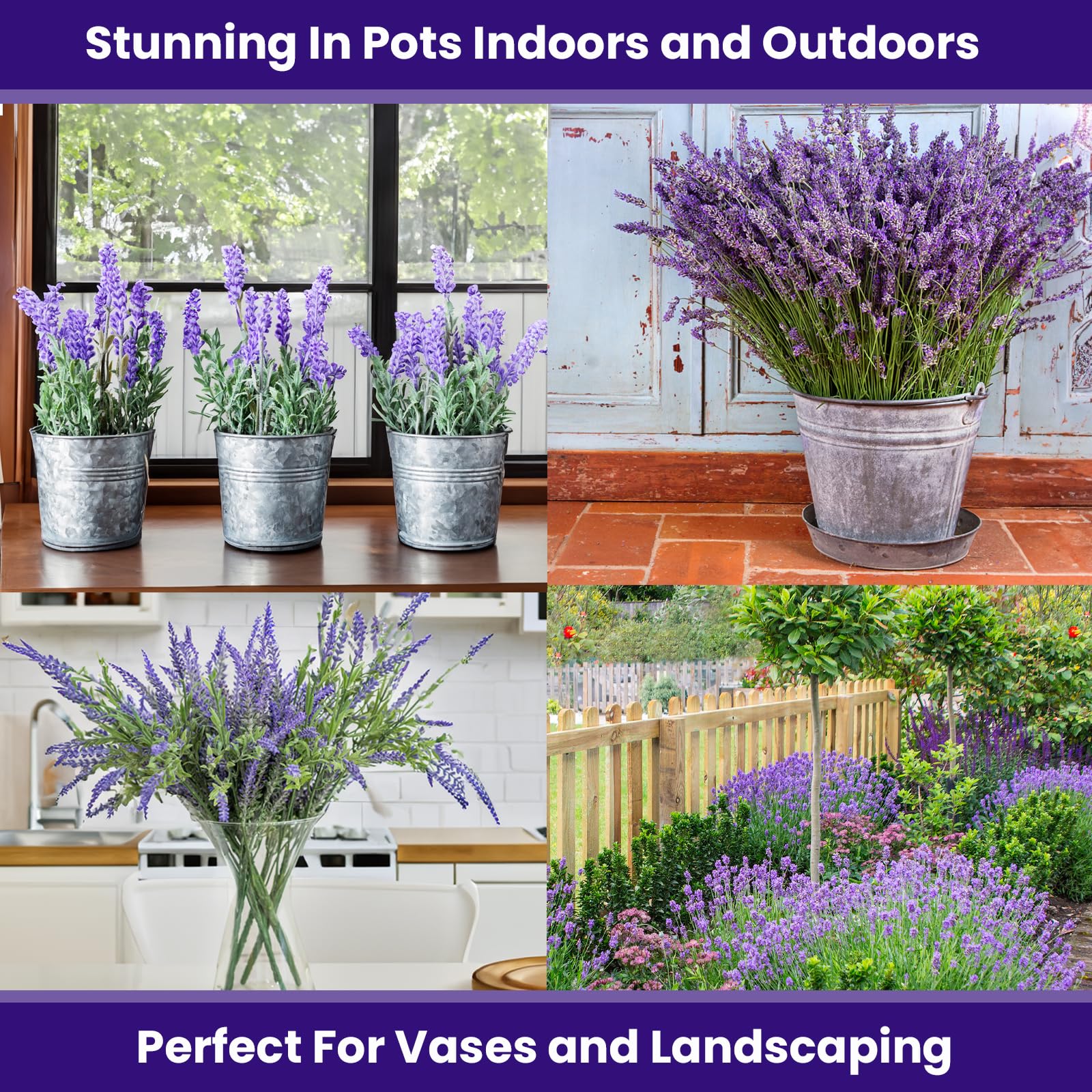 NatureZ Edge garden-border-lavender photo demonstrates pollinator-friendly color.