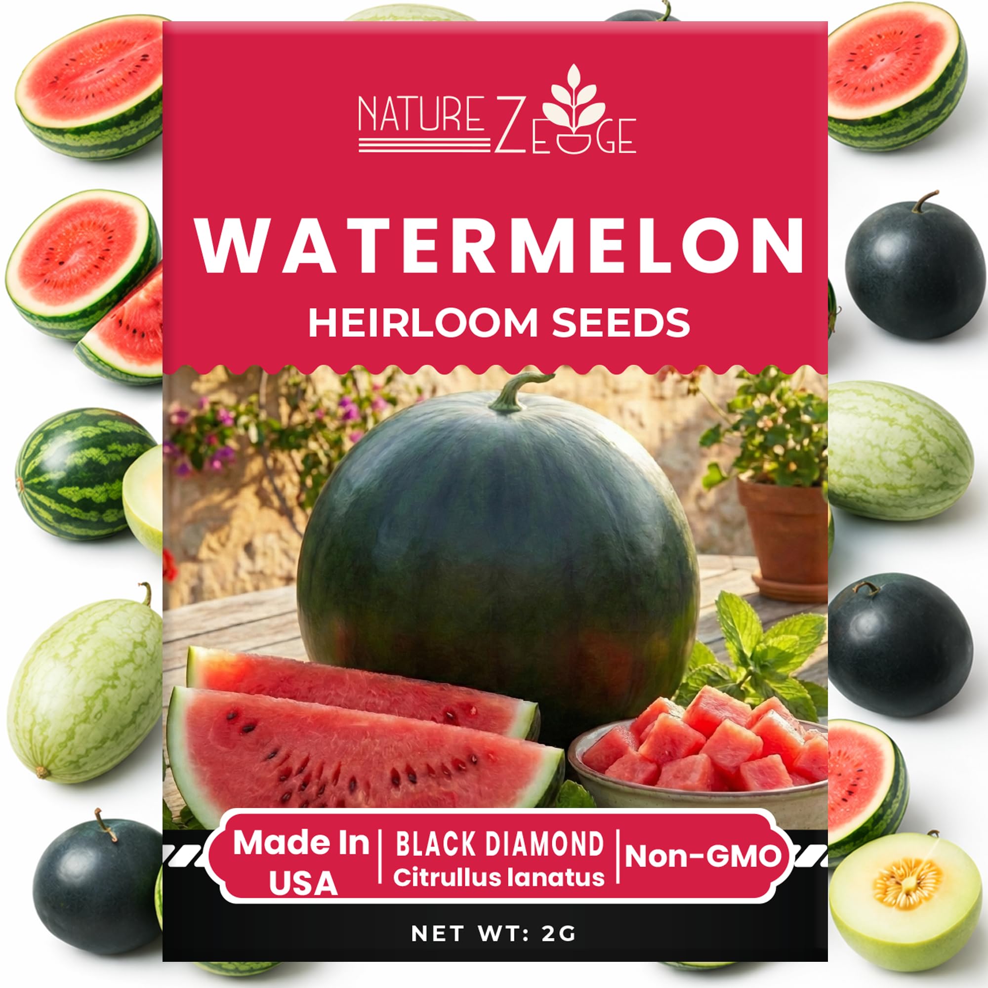 NatureZ Edge Green Honeydew seeds pack for crisp, fragrant melons in sunny beds.