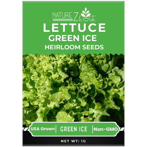 NatureZ Edge Green Ice lettuce seeds for fast germination and fresh leaves.
