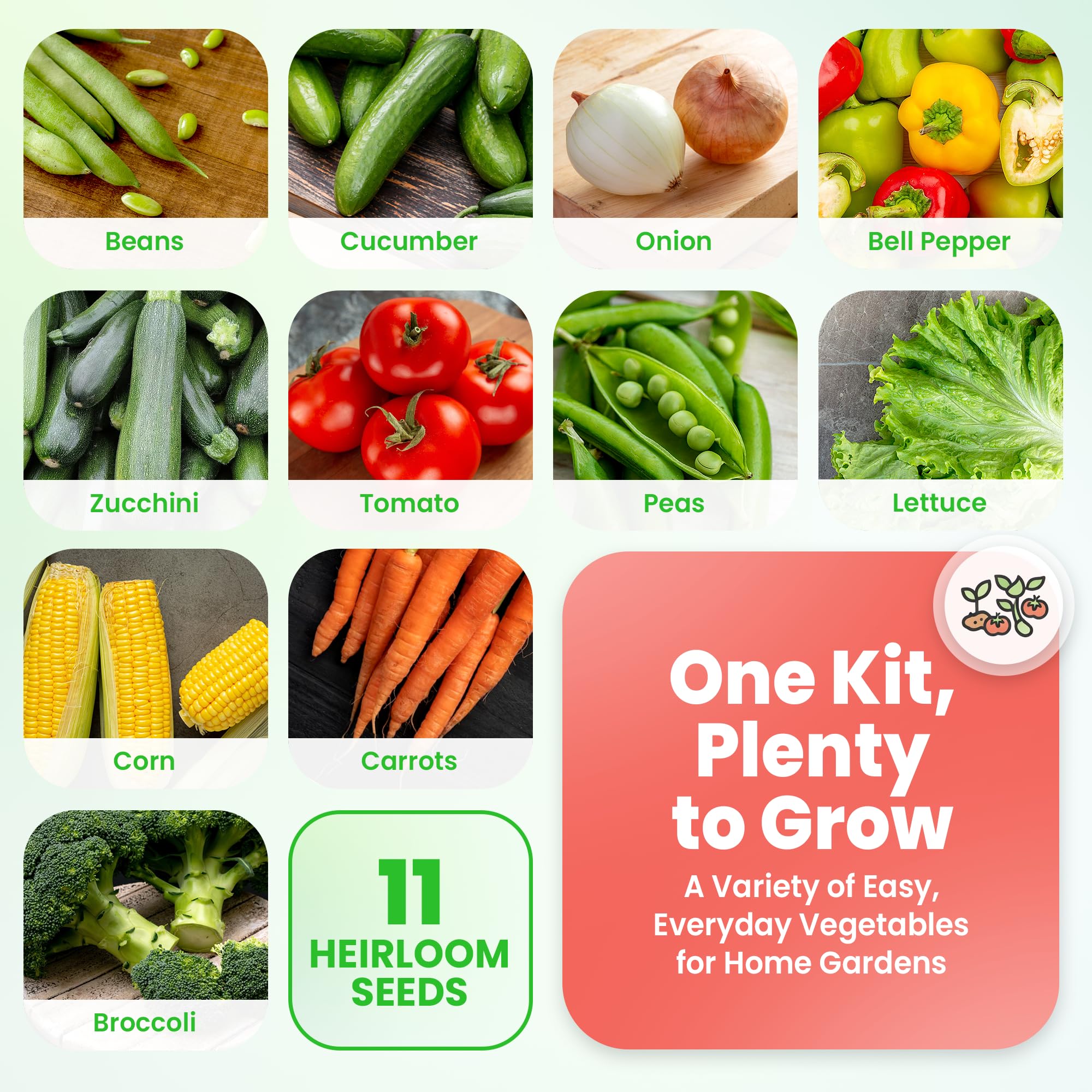 NatureZ Edge home garden setup with seeds ready to plant