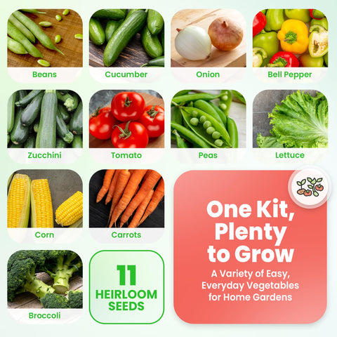 NatureZ Edge home garden setup with seeds ready to plant