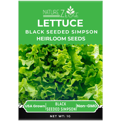 NatureZ Edge hydroponic lettuce seeds suitable for indoor gardens.