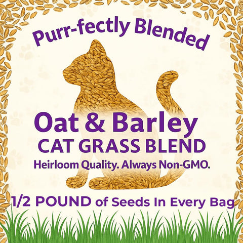 NatureZ Edge indoor cat grass ready-to-grow setup with lush greens.