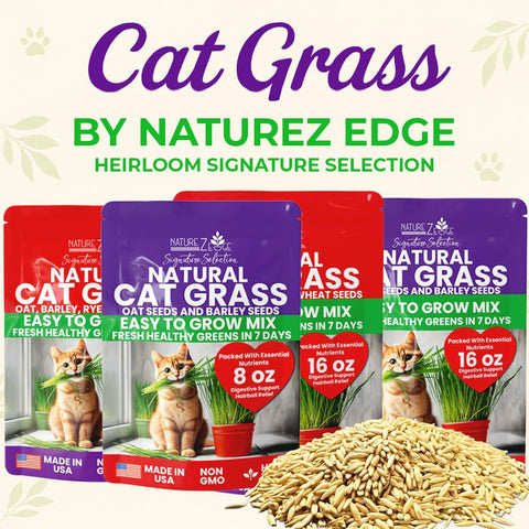 NatureZ Edge kitty greens growing in planter for year-round greens.