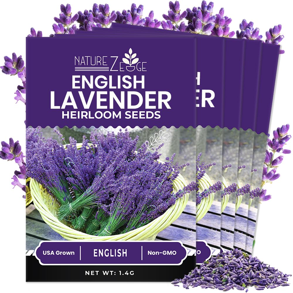 NatureZ Edge lavender seeds pack ready for home planting with high germination potential.