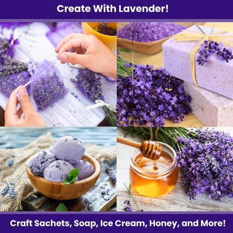 NatureZ Edge lavender seeds enable sachets, oils, and culinary crafts.