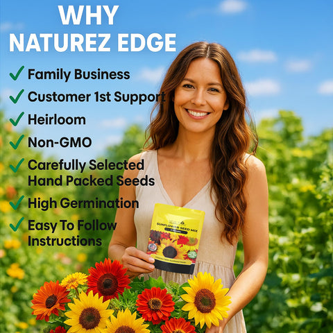 NatureZ Edge Lemon Queen seeds for tall sunny borders