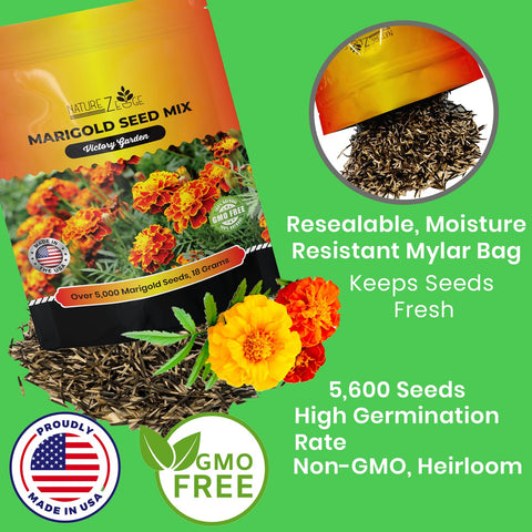 NatureZ Edge marigold seeds mix border display shows compact plants along edges.