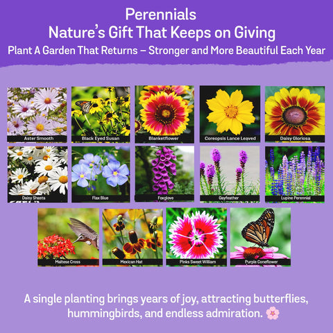 NatureZ Edge pollinator-friendly blooms attract butterflies, bees, and hummingbirds