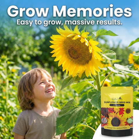 NatureZ Edge Mammoth tall sunflower creates a high-impact garden focal.