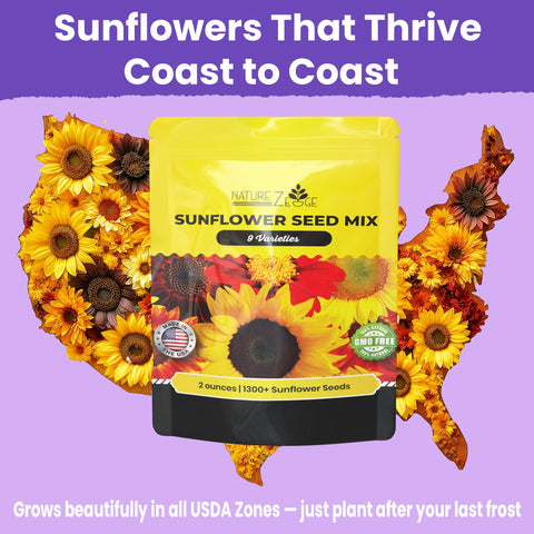 NatureZ Edge Sunflower varieties mix for colorful garden scenes.