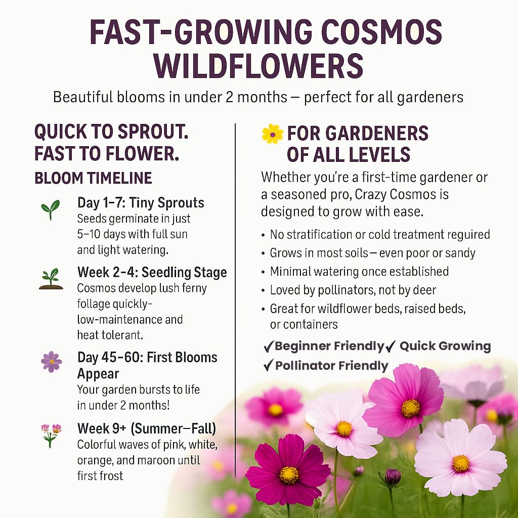 NatureZ Edge Throw and Grow Seed Mix for quick wildflower gardens.