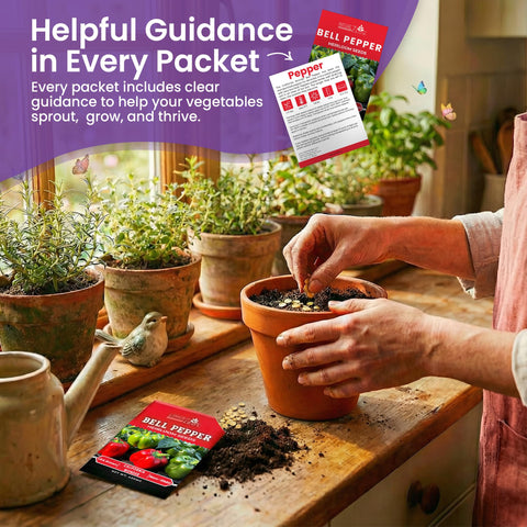 NatureZ Edge USA-sourced seeds supporting local suppliers