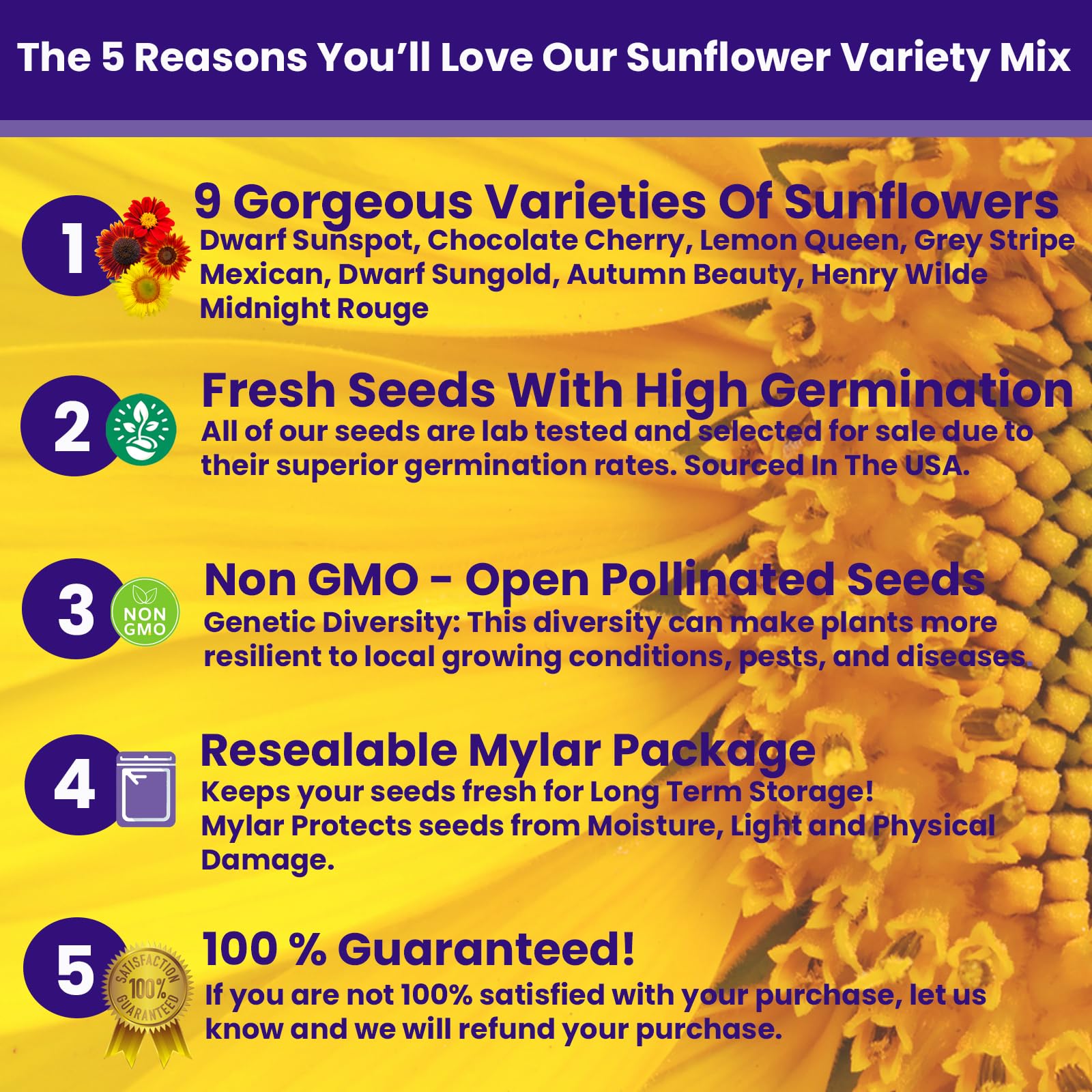 NatureZ Edge Velvet Queen seeds with rich petals for late summer blooms