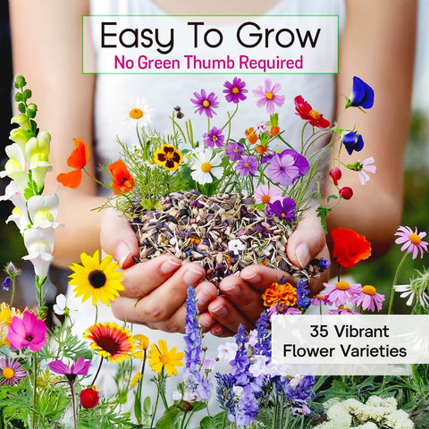 NatureZ Edge wildflower seeds mix packet closeup highlighting annuals and perennials