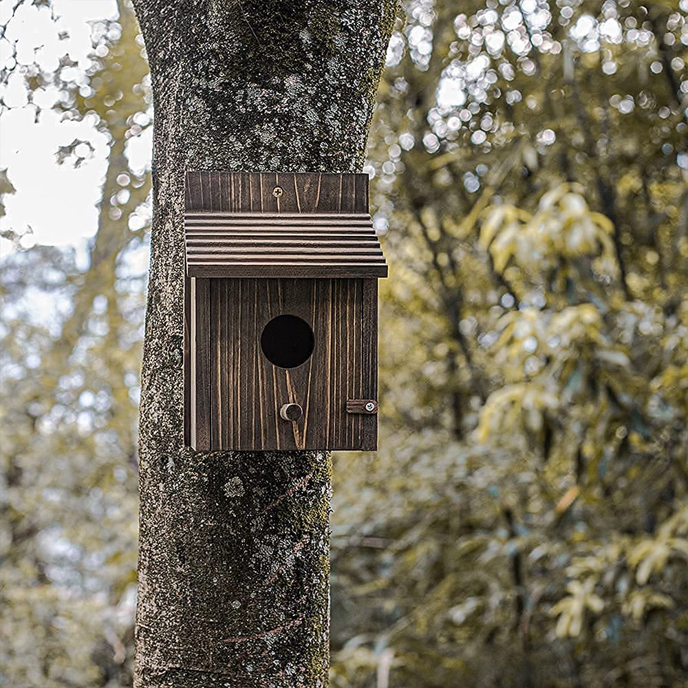 NATUREYLWL Weatherproof Bird House compact dimensions fit patios and yards.