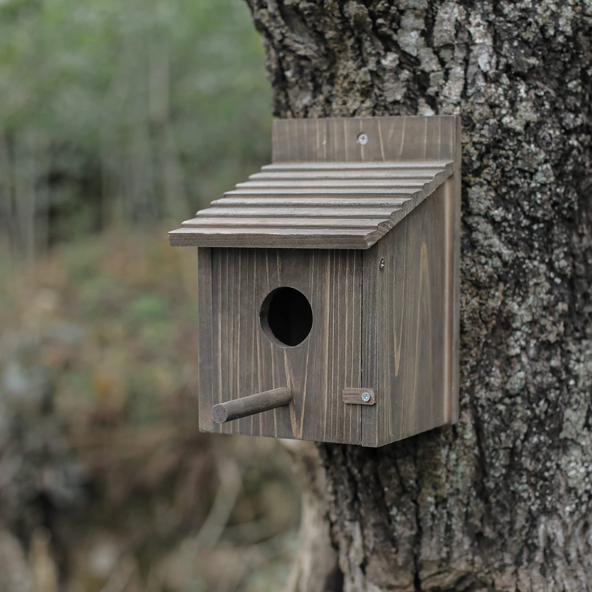 NATUREYLWL Weatherproof Bird House entrance hole 1.57 inches for small to medium birds.