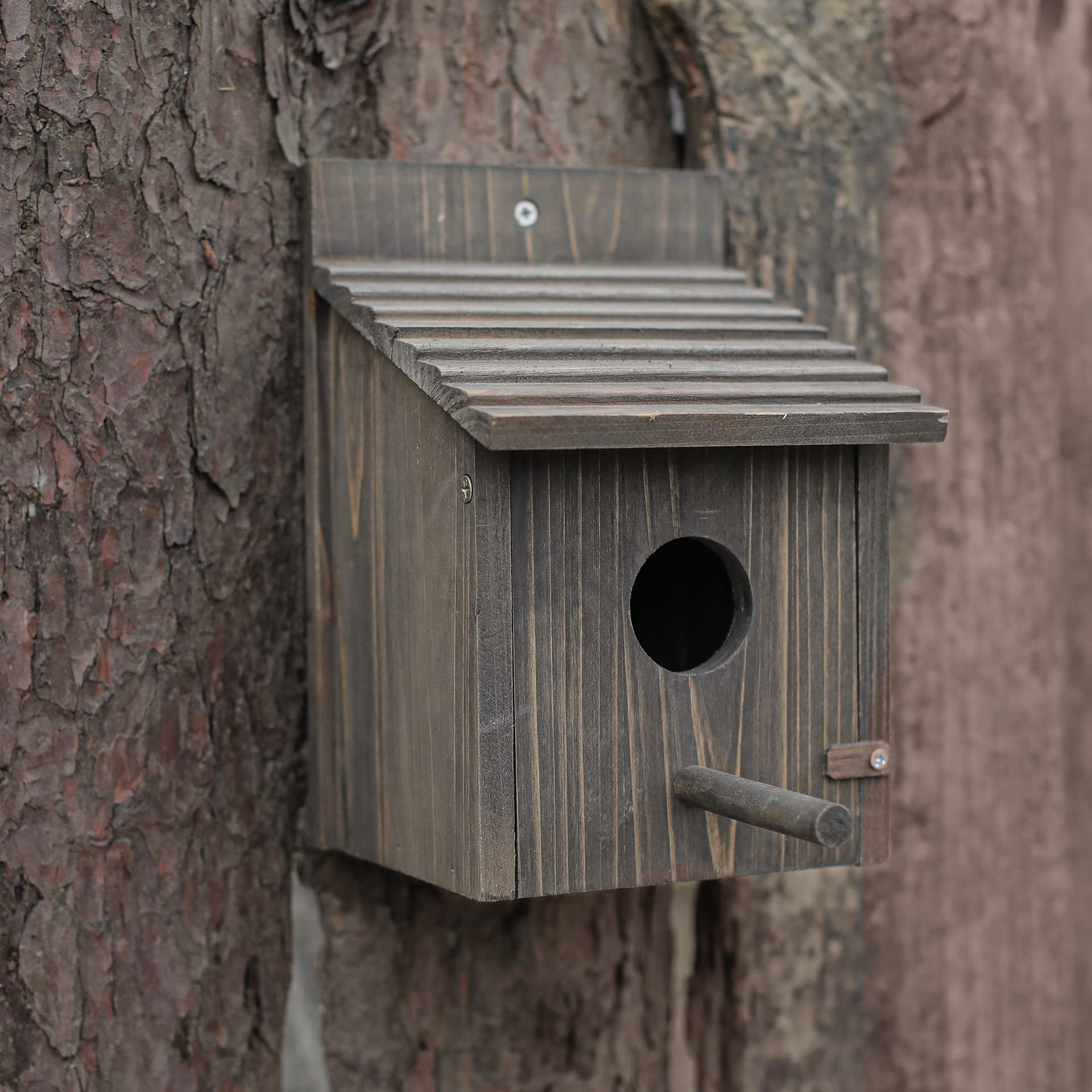 NATUREYLWL Weatherproof Bird House pole mounting for versatile outdoor placement.