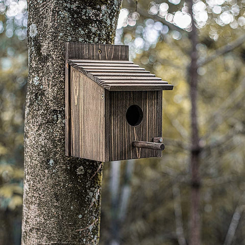 NATUREYLWL Weatherproof Bird House side view showing compact shelter.