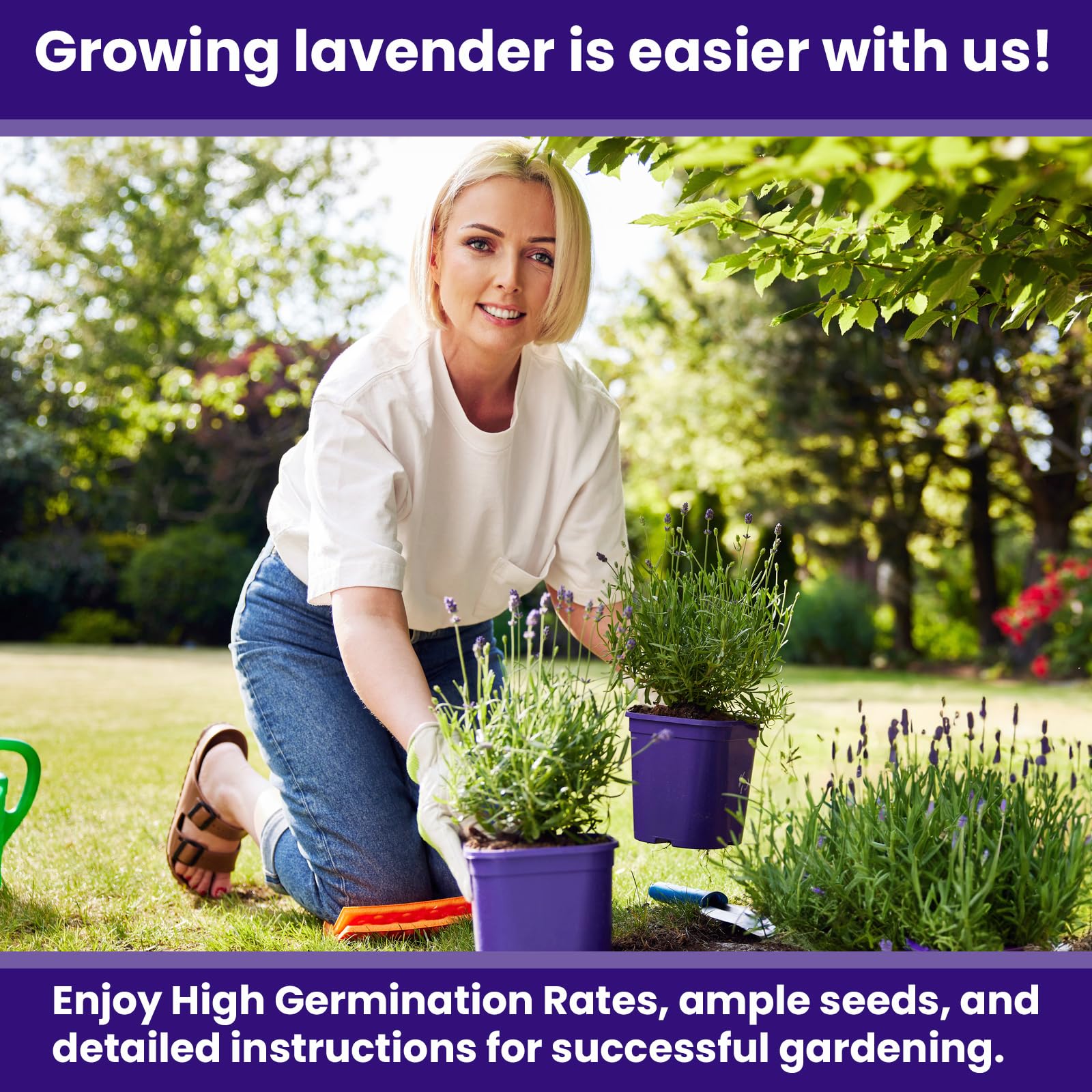 NatureZ Edge lavender seeds germinating in soil, signaling a healthy start for your garden.