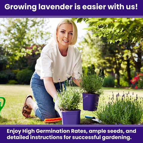 NatureZ Edge lavender seeds germinating in soil, signaling a healthy start for your garden.