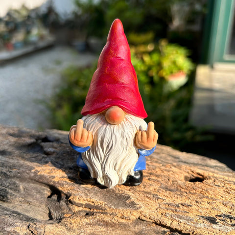 Naughty Garden Gnome statue offers a bold, humorous focal point for spaces.